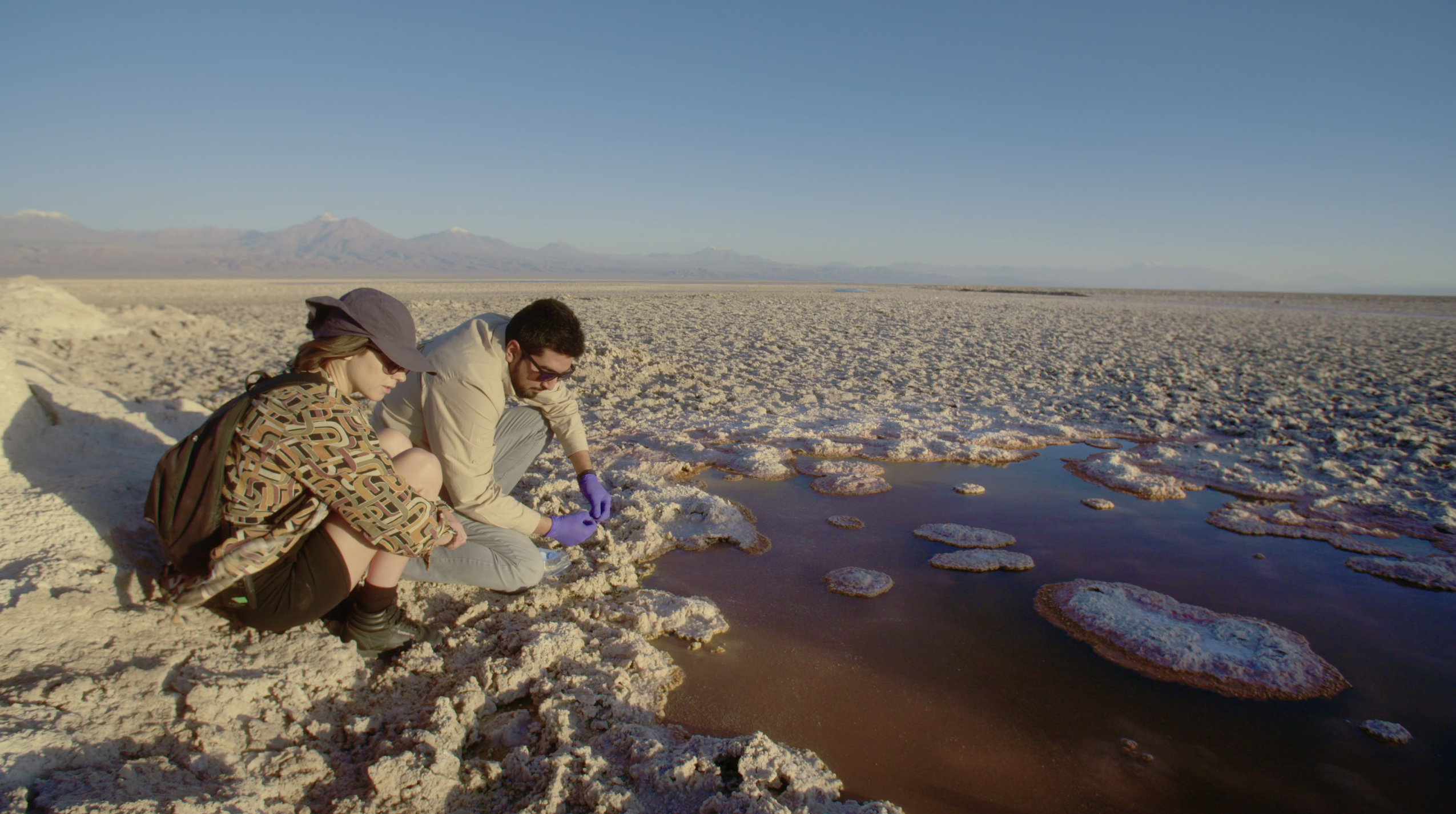 Screen Shot 2023-08-31 at 14.34.23