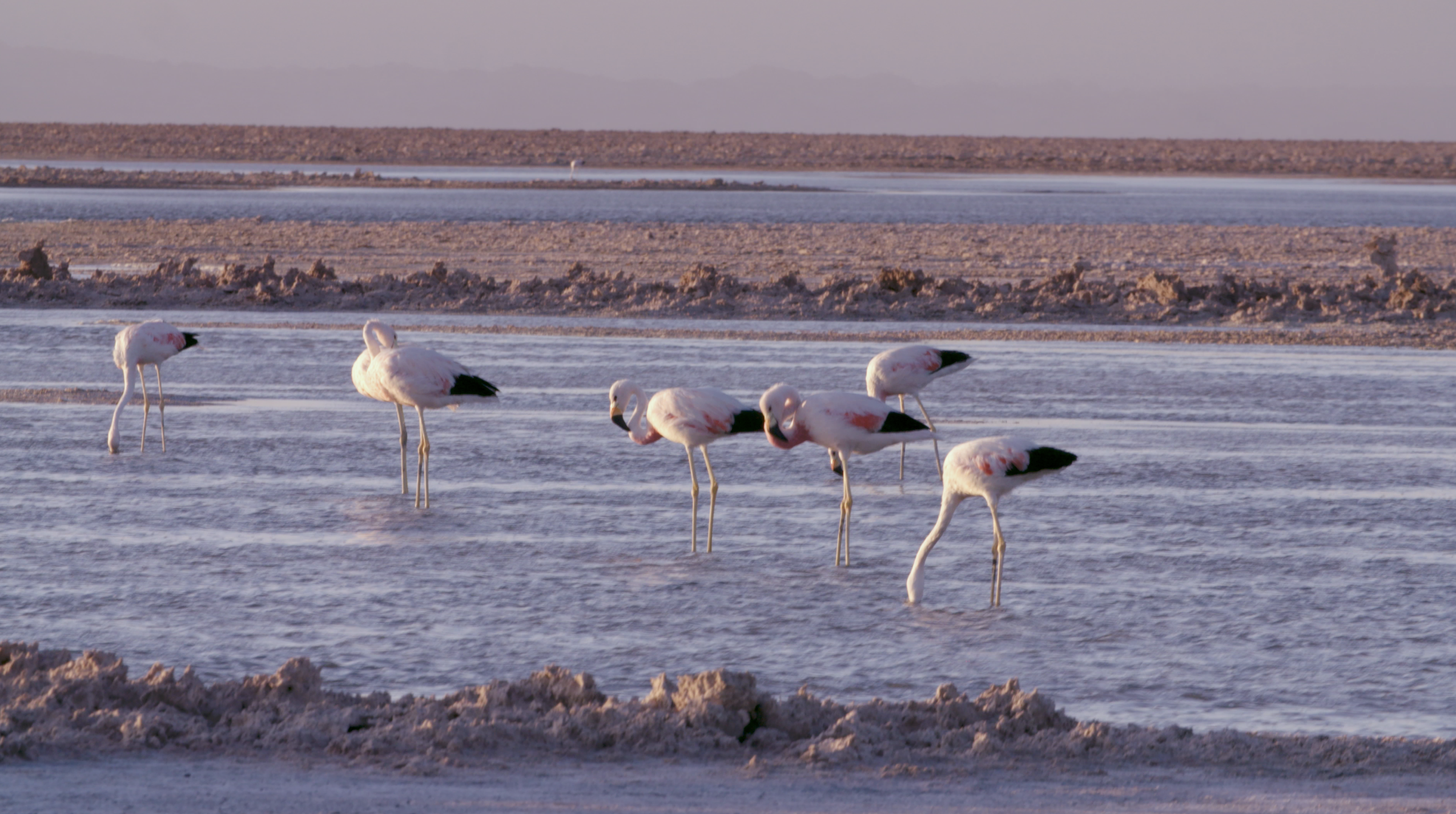 Screen Shot 2023-08-31 at 14.34.34